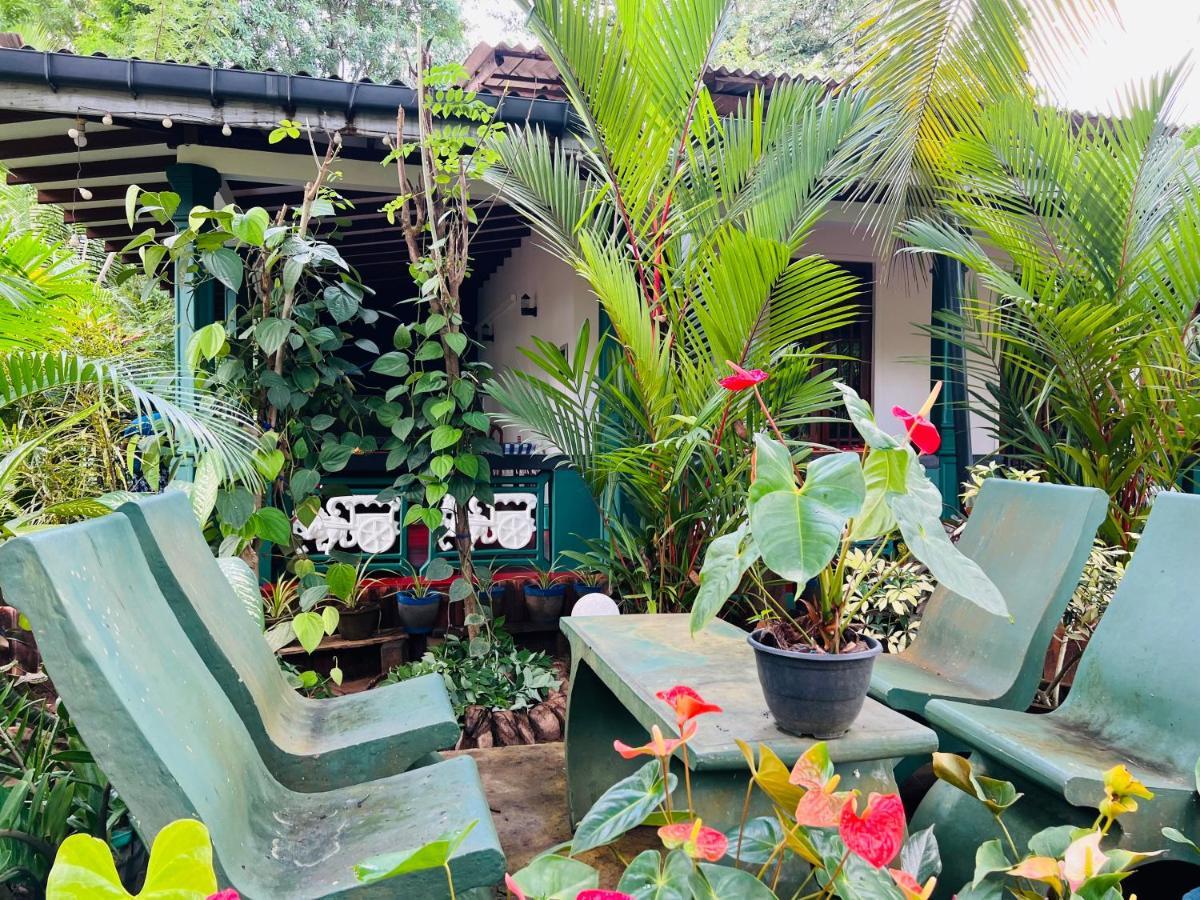 Sigiri Budget Homestay シギリヤ エクステリア 写真