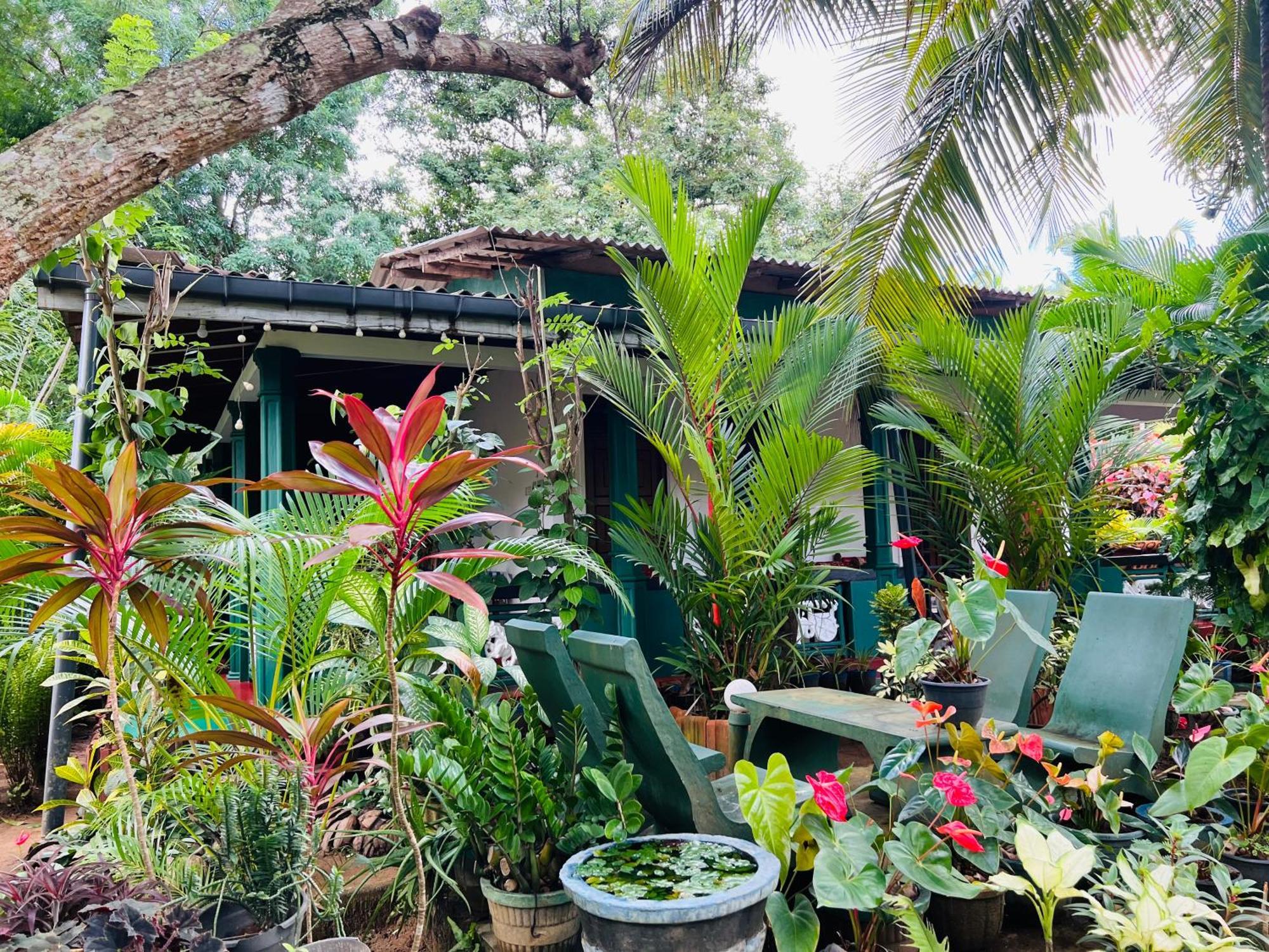 Sigiri Budget Homestay シギリヤ エクステリア 写真
